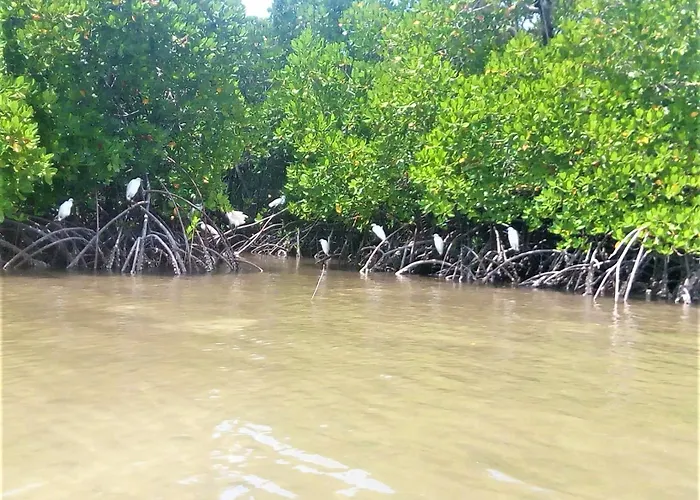Mida Creek Nature Camp