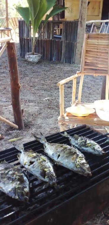 Mida Creek Nature Camp