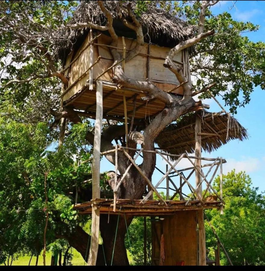 Mida Creek Nature Camp