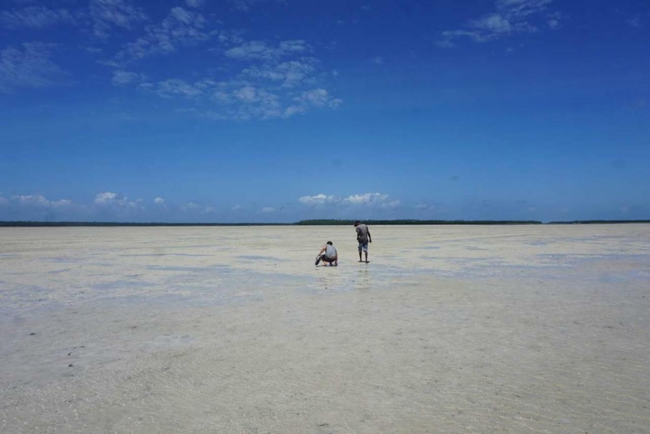 Campsite Mida Creek Nature Camp Watamu