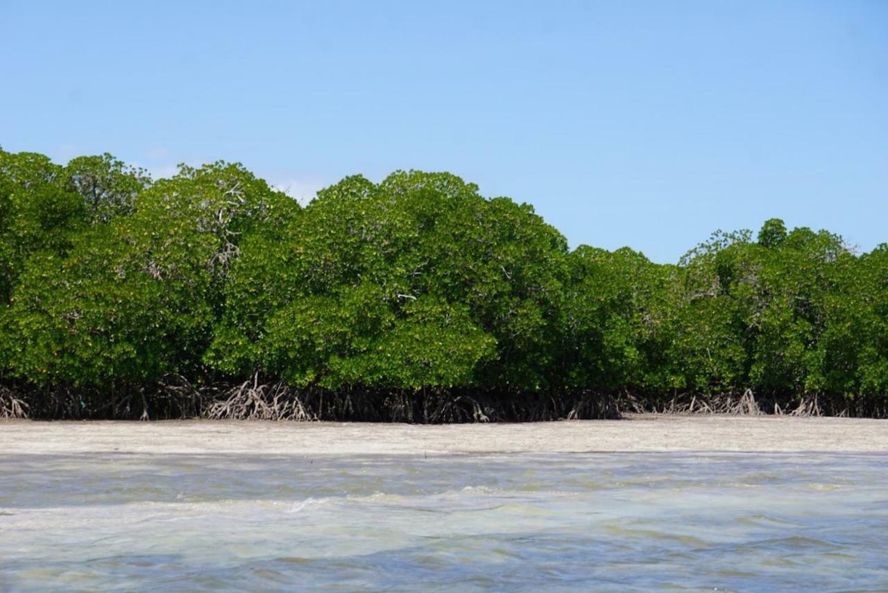 Mida Creek Nature Camp 2*