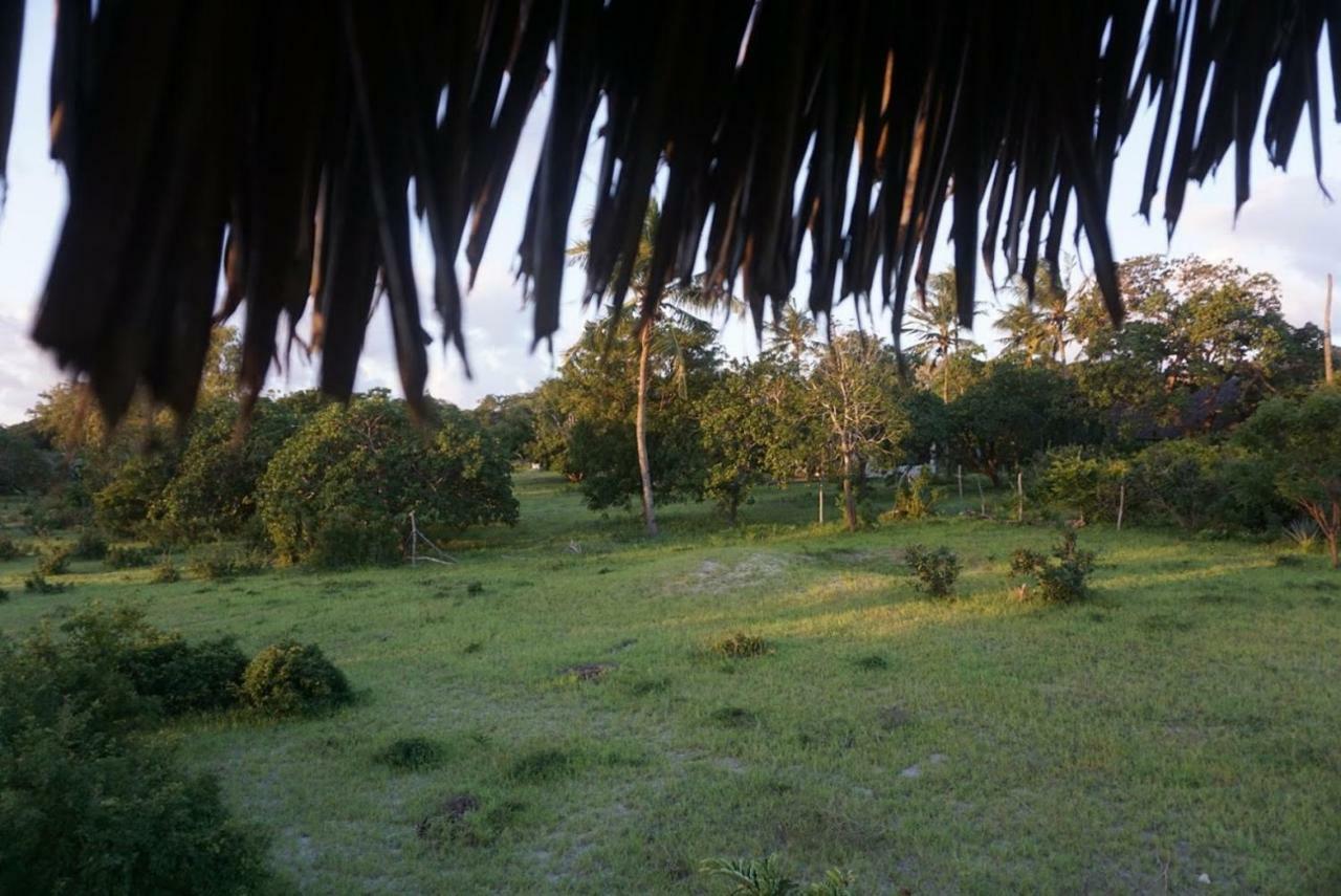 Mida Creek Nature Camp Watamu
