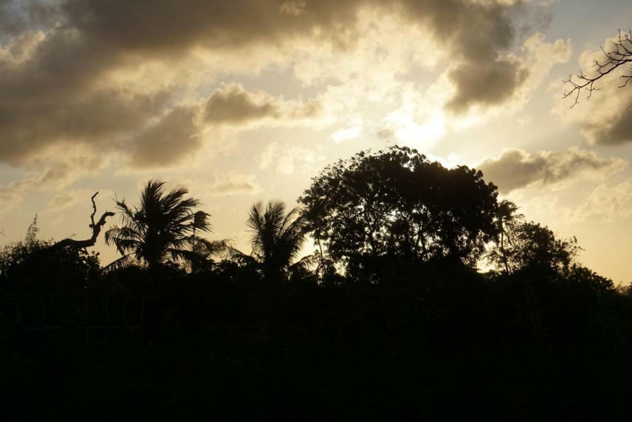 Mida Creek Nature Camp Campsite