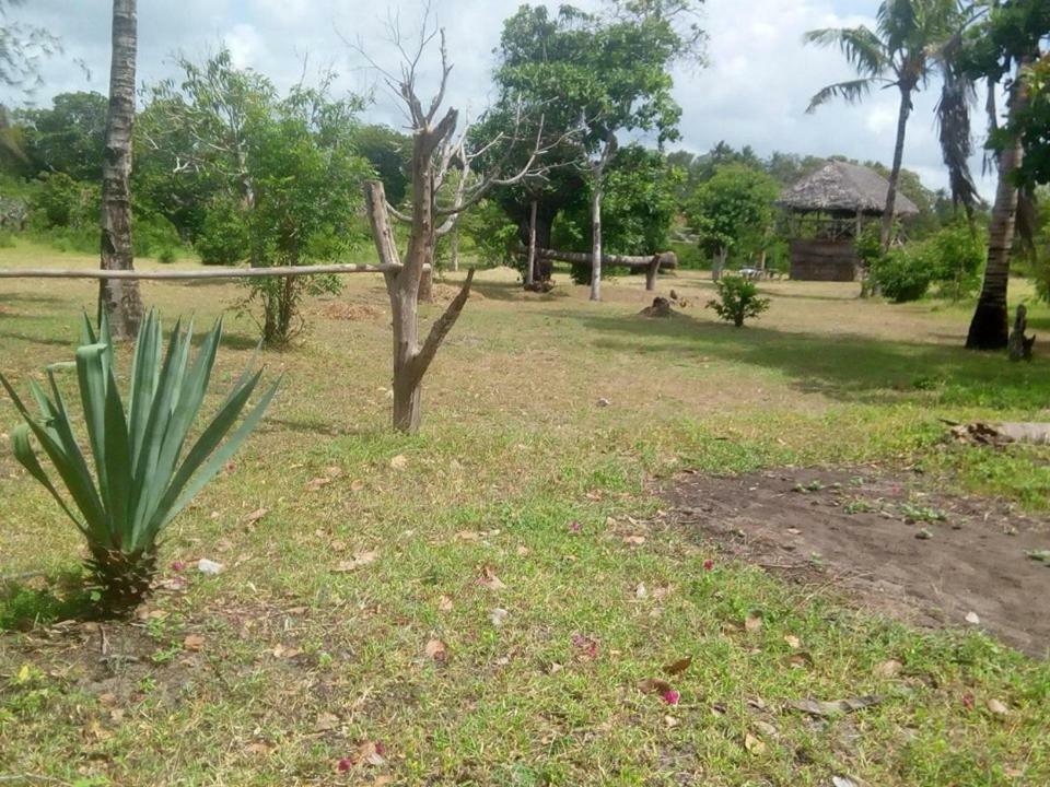 Mida Creek Nature Camp Campsite 2*