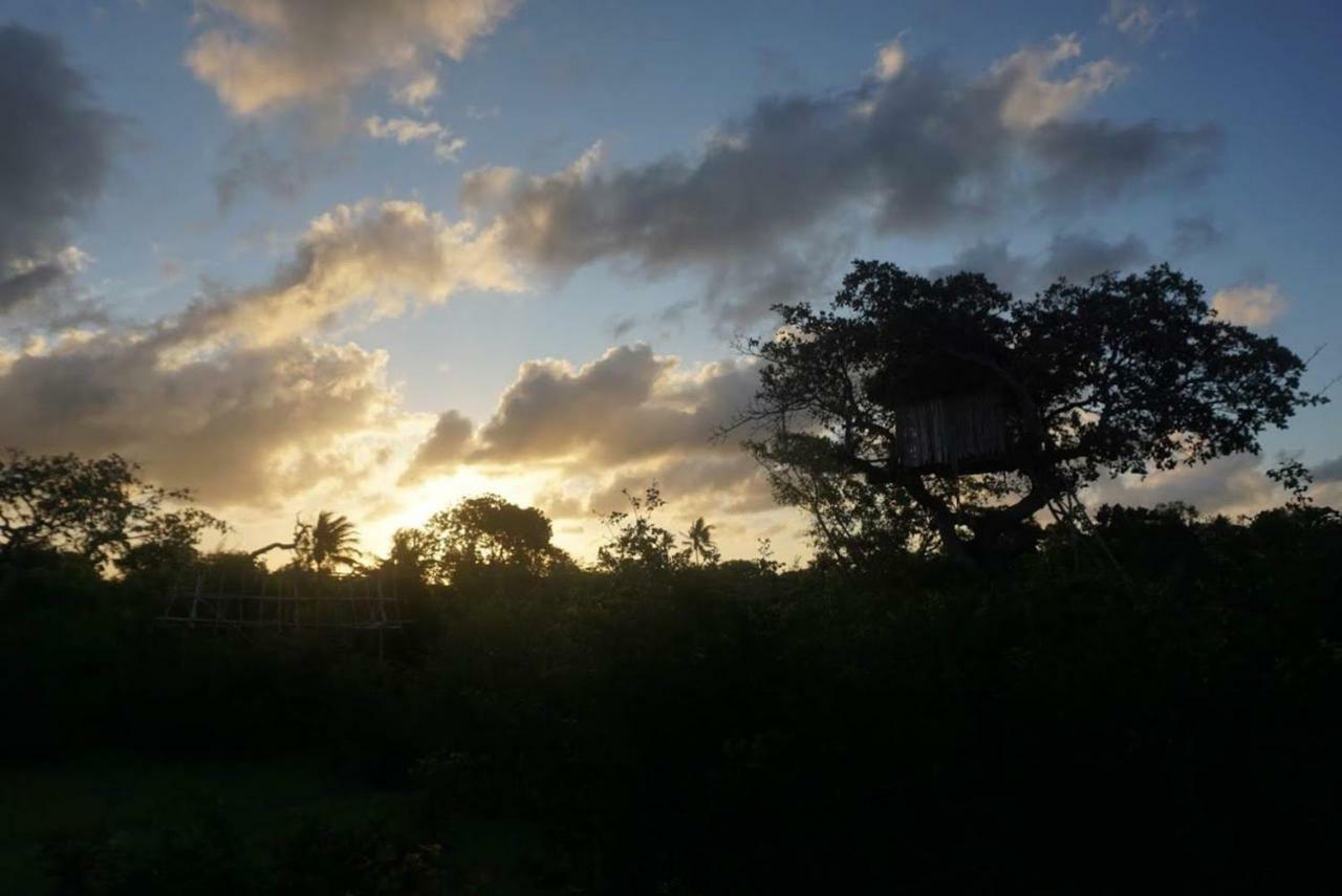 Campsite Mida Creek Nature Camp Watamu