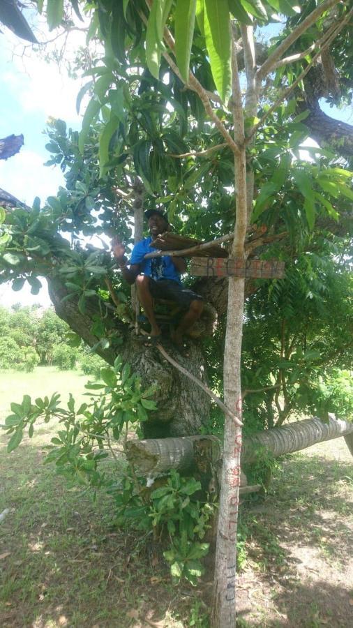 Mida Creek Nature Camp