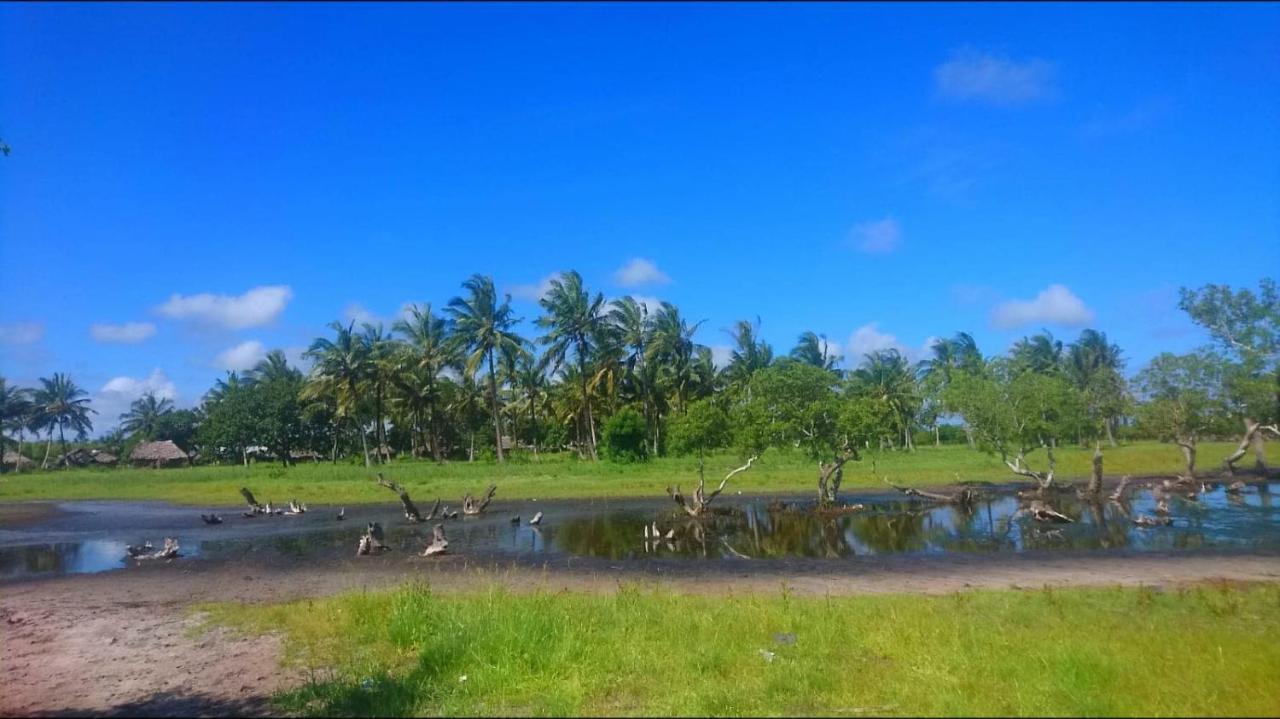 Mida Creek Nature Camp Watamu