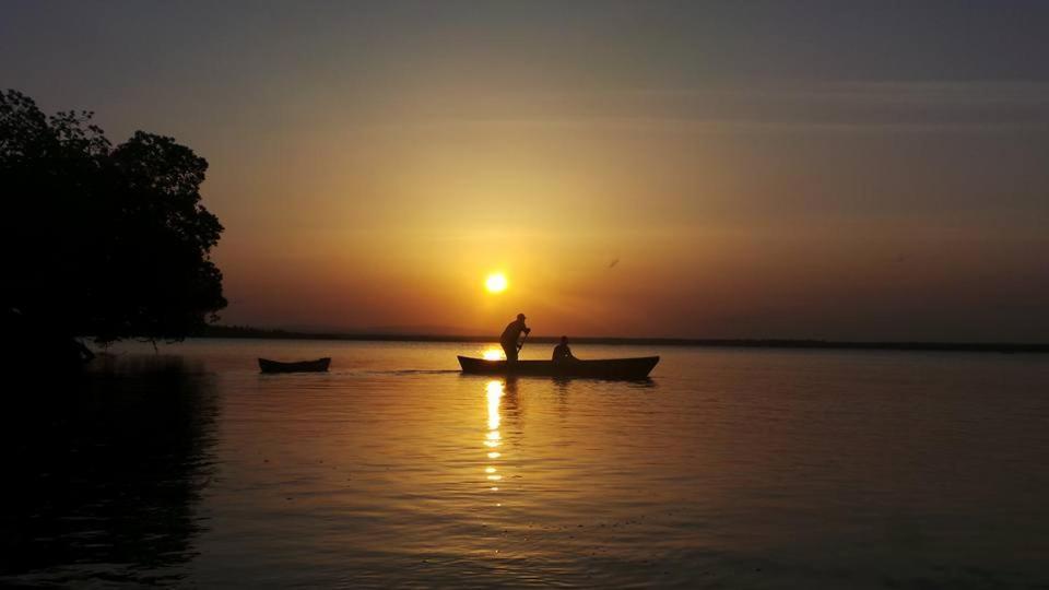 Mida Creek Nature Camp Campsite 2*